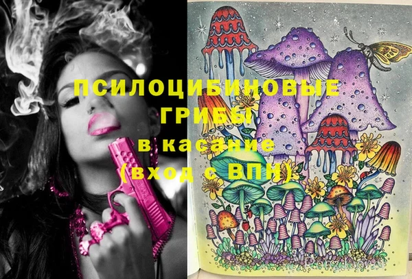 круглые Новодвинск