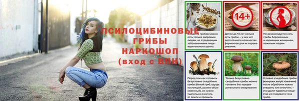 PSILOCYBIN Нефтегорск